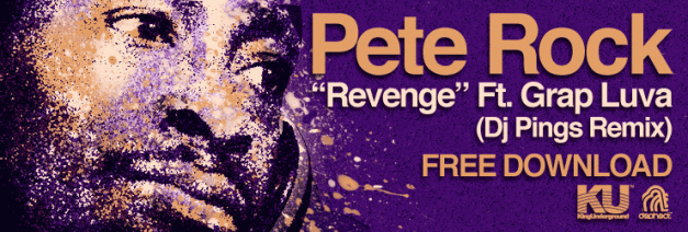 Pings-revenge-java-BANNER