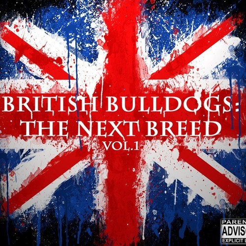 britishbulldogs