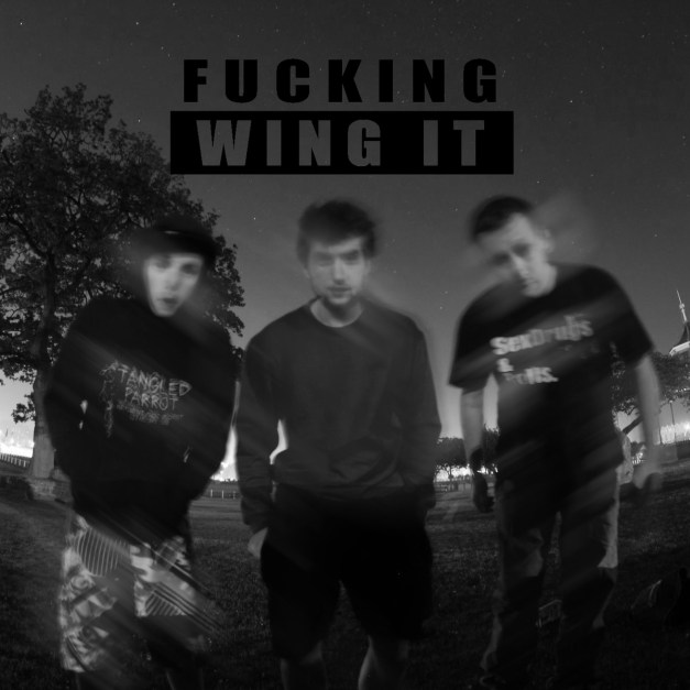 fuckingwingit