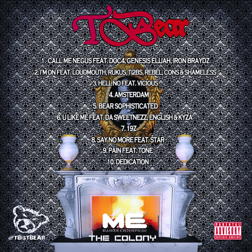 TBear_bearwithme2_Bear_Sophisticated-back-large