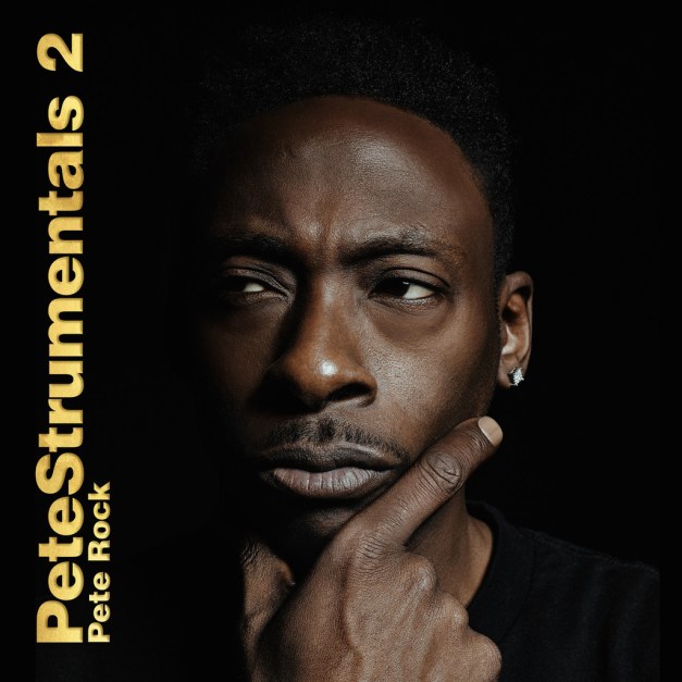 PeteRock_Petestrumentals2_3500x3500_RGB_88d0e0fc-78e1-4d94-a027-b83e2df65ec3_1024x1024